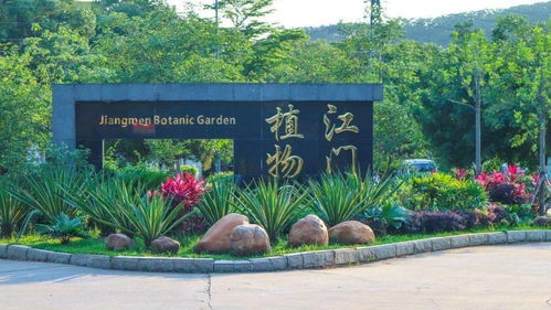 首屆杜阮羊肉美食節(jié)盛大啟動，融合美食與冰雪體驗