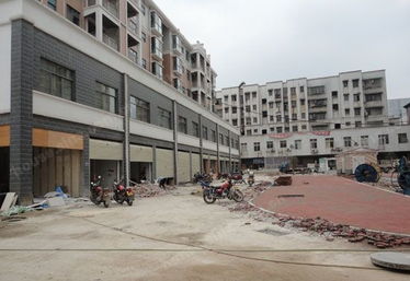 大漢精品建材城 優(yōu)質(zhì)木材選購(gòu)指南