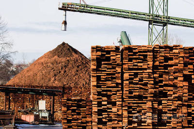 工廠(chǎng)建設(shè)與木材生產(chǎn) 產(chǎn)業(yè)現(xiàn)代化的關(guān)鍵環(huán)節(jié)