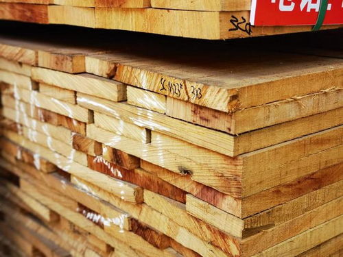 加納木材市場(chǎng)遭遇寒冬 價(jià)格斷崖式下跌，最大跌幅超五成